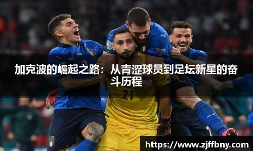 IM电竞官方网站